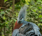 Zoo mit der FZ1000