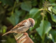 ZOO Kln mit der Fz1000