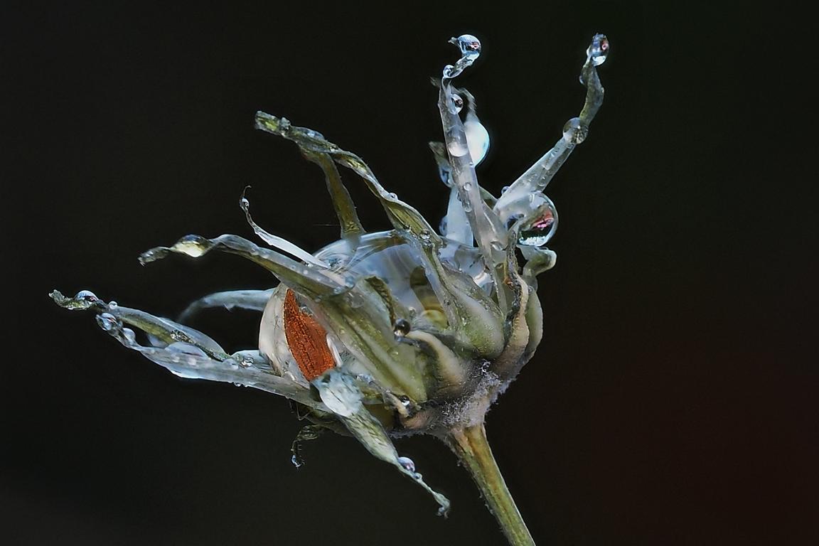 Wasserspiele