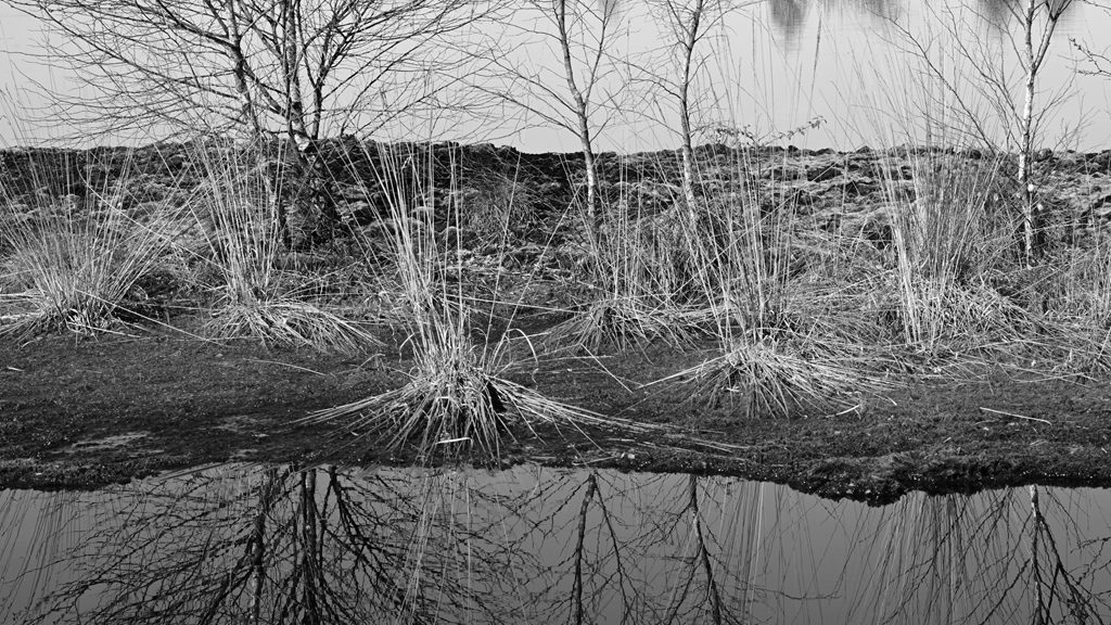 more Moor I