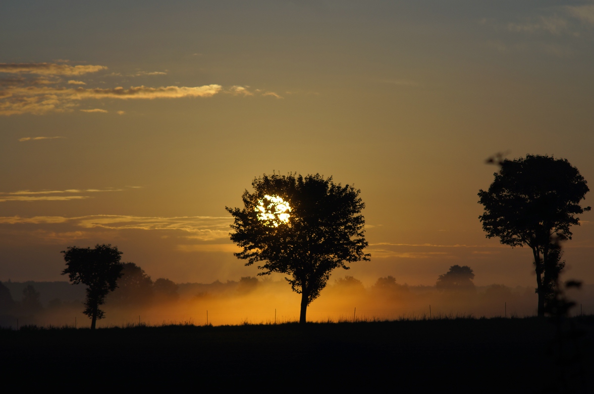 Sonnenaufgang plus Nebel