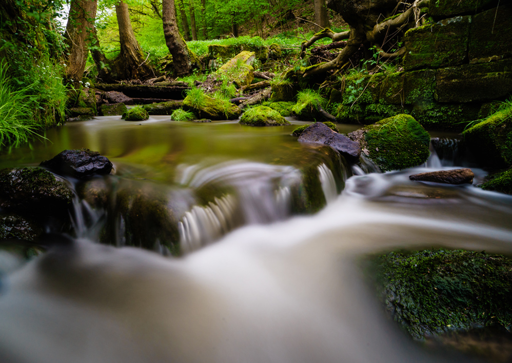 Lange am Bach gewesen