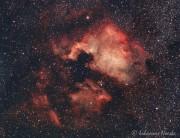  NGC 7000 (Nordamerika Nebel und Pelikan Nebel) von Klimmper