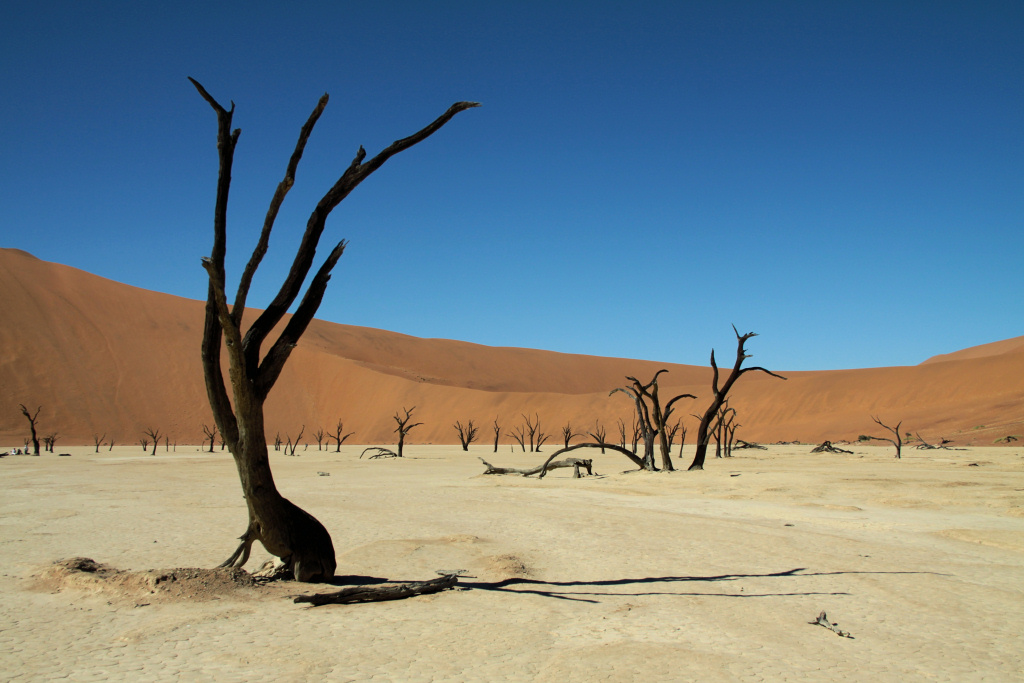 Deadvlei