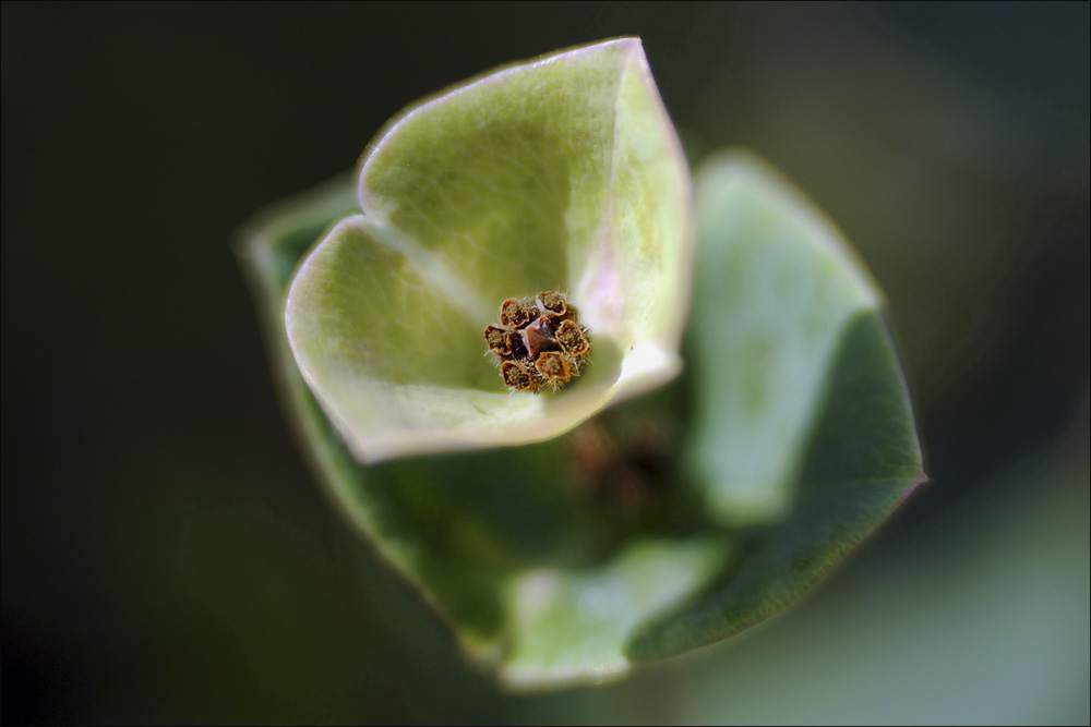 Besuch im Botanischen Garten