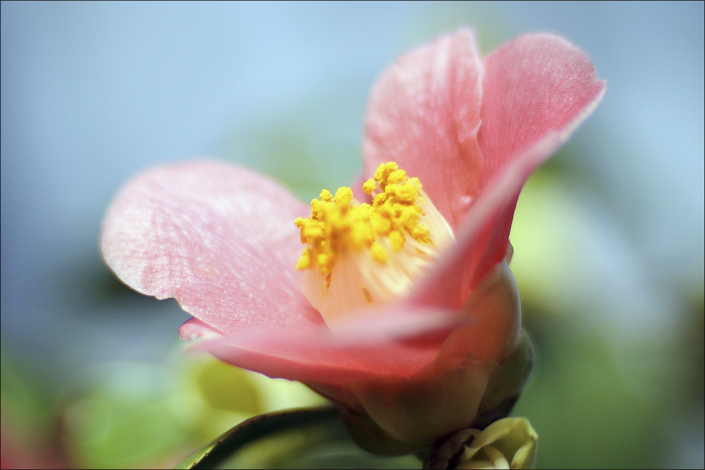 Besuch im Botanischen Garten