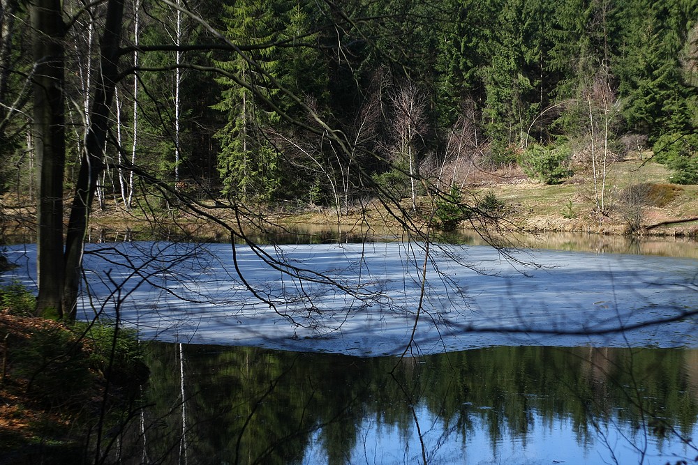 Am Elferteich