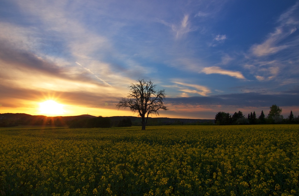 Landschaft