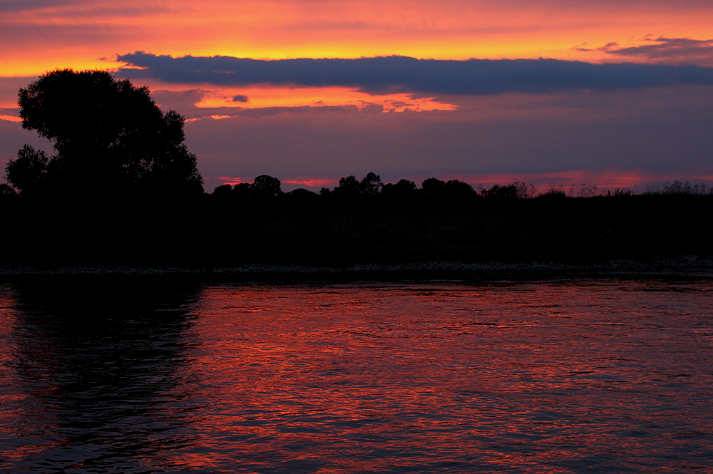 Abendlicht auf der Elbe bei Magdeburg