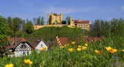 Hohenschwangau