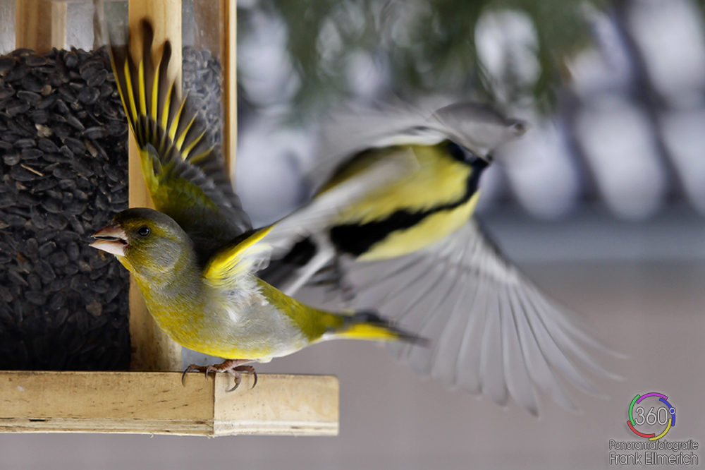 Abflug