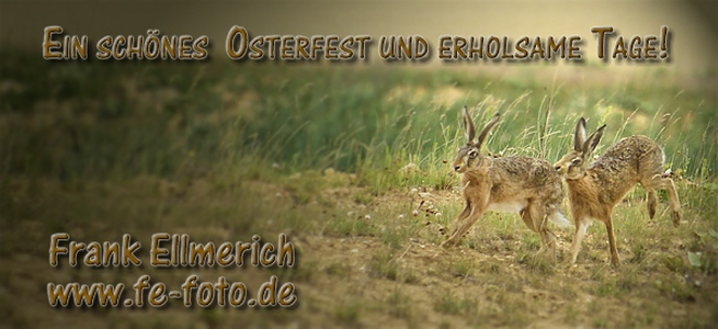 Frohe Ostern