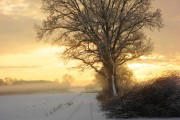 Sonnenuntergang in Warleberg NOK