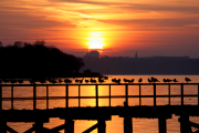 Kieler Skyline