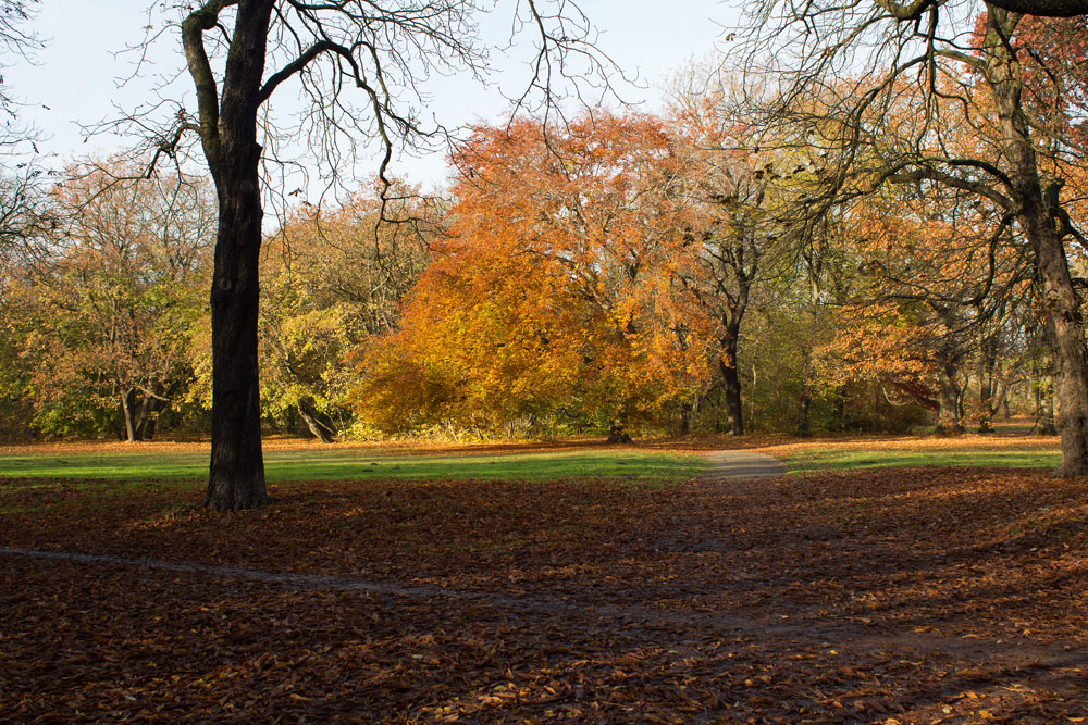 Herbstweg