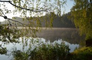 Lausizer Teichlandschaft am Morgen