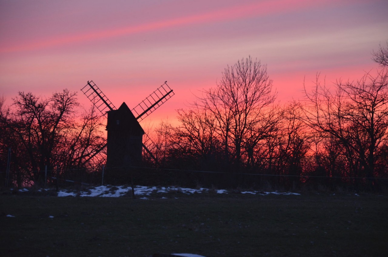 Windmhle im sonnenuntergang