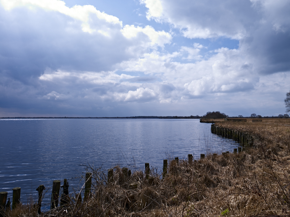 Ewige Moor in in der Nhe von Aurich