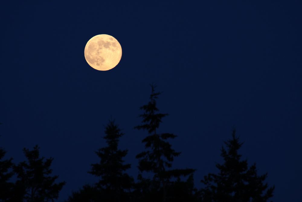 Vollmond ber Nova Scotia