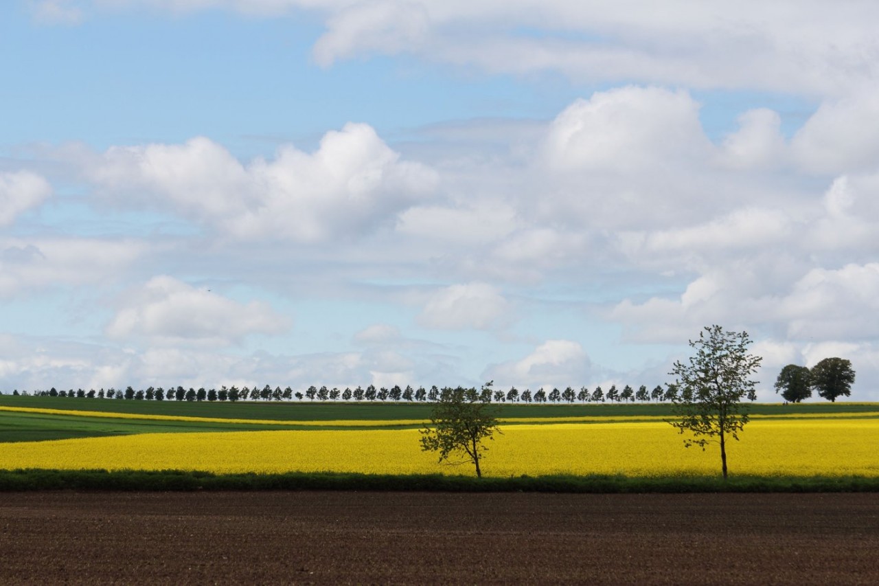 Der Malkasten des Landwirts