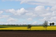 Der Malkasten des Landwirts