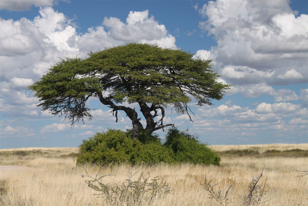 Namibia