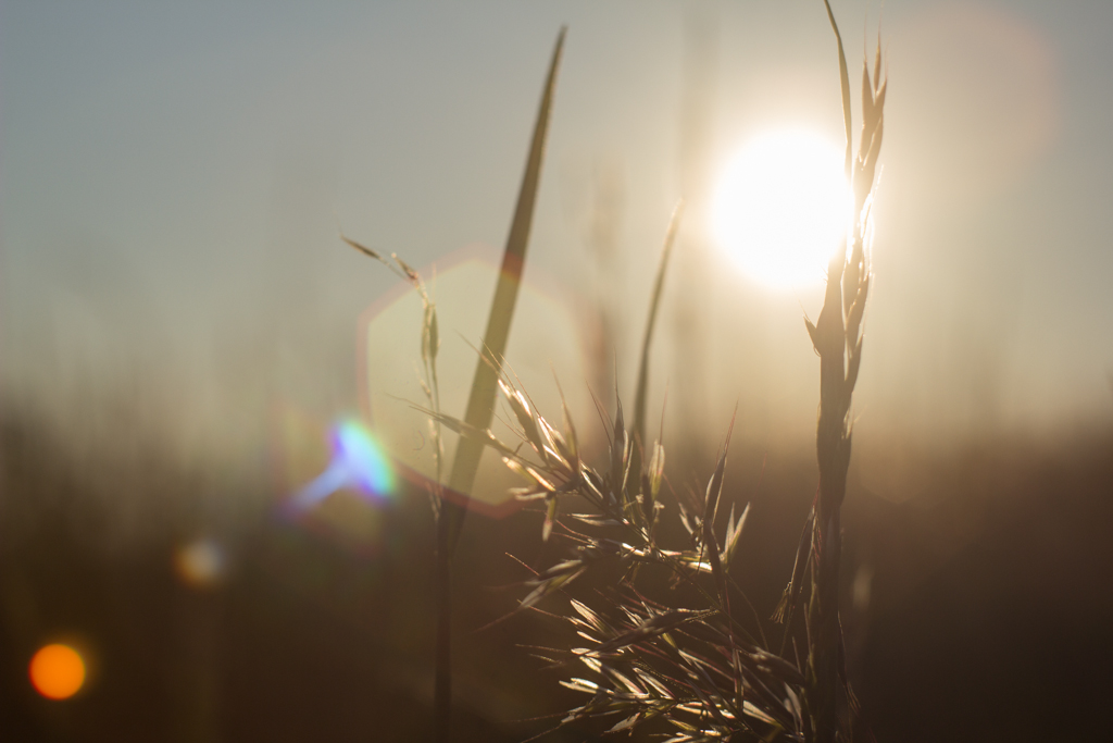 Sonnenuntergang