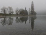 Morgennebel am Rhein