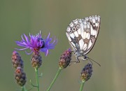 Naturhotel...zwei Zimmer sind schon belegt