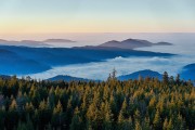 Nebelmeer Nordschwarzwald