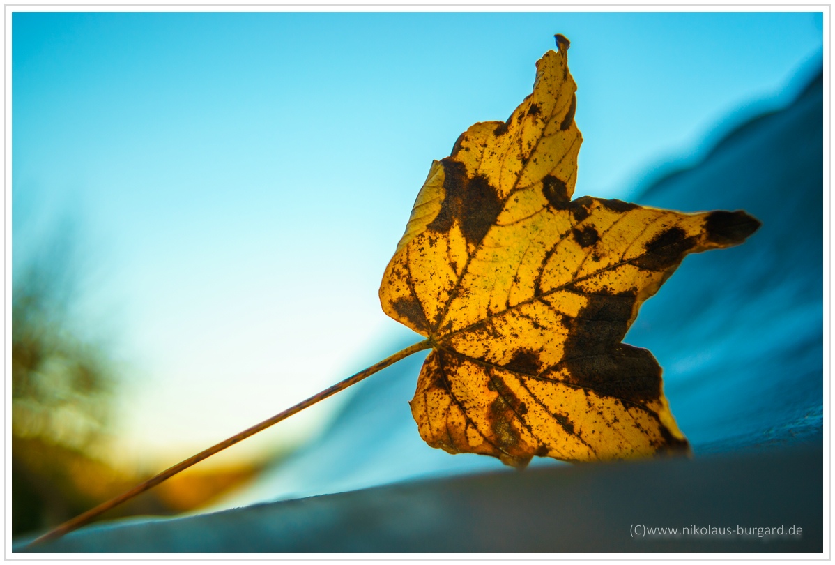 Herbststimmung