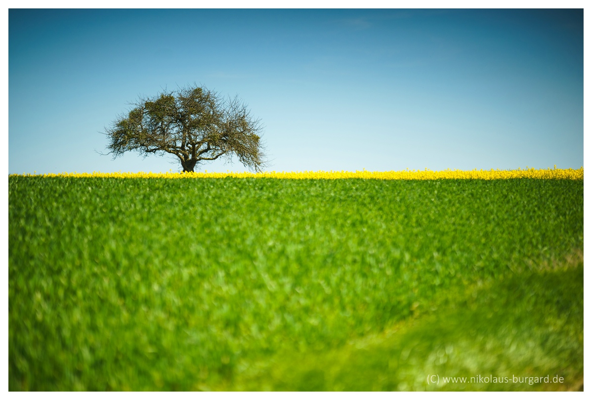 Hinterm Horizont....