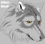 Eifel-Wolf